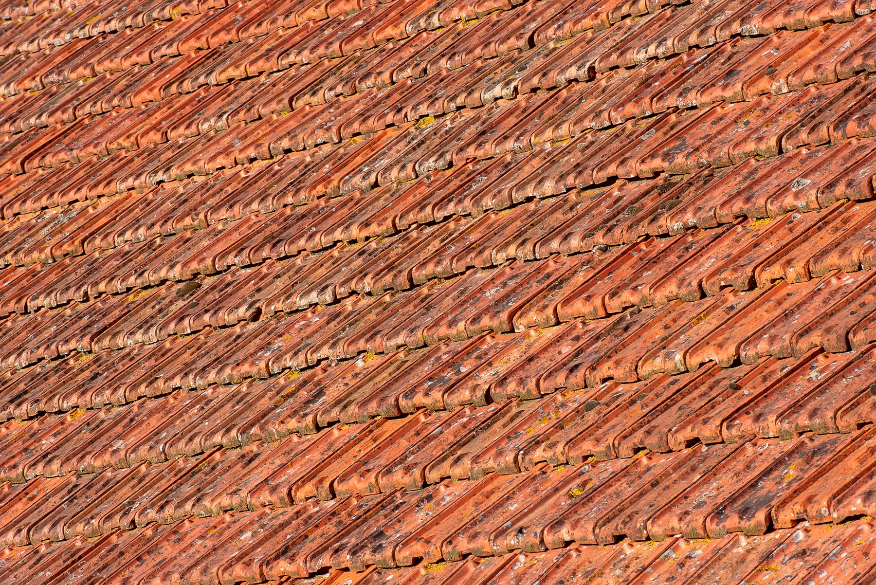 Gewachsene Ziegeldeckung im Detail